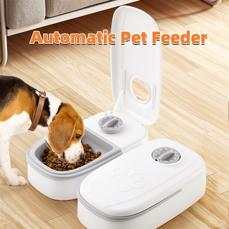 Revolutionize Your Pet's Feeding Routine with Our Automatic Pet Feeder